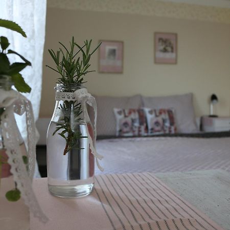 Apartmány u Bašty Hlučín Quarto foto